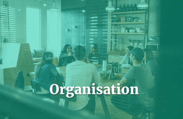 Organisation Module
